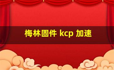 梅林固件 kcp 加速